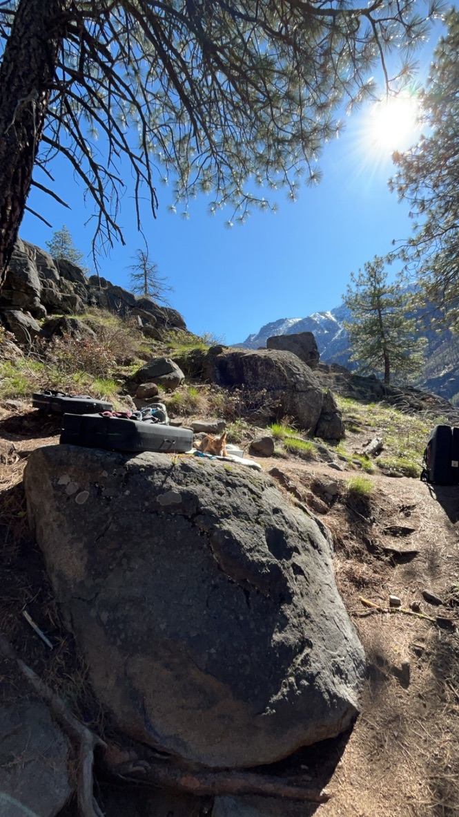 A sunny mountain scene with pine trees, boulders, and hiking gear.