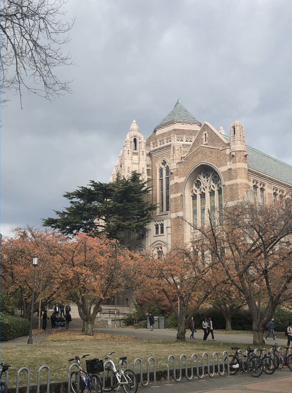 A University of Washington building framed by autumn trees.